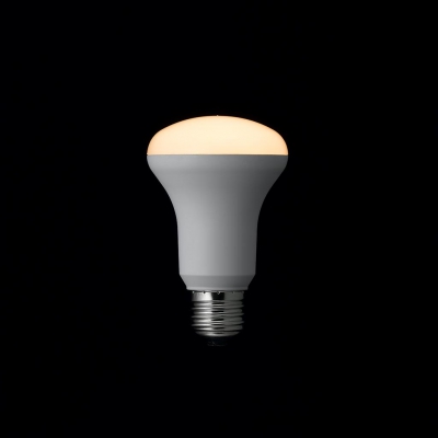 レフ形LED電球】| LED電球 | LED照明・LEDランプの卸通販 - 平日15時