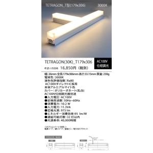 GLORY TETRAGON 3000K T1ガタ  TETRAGON3000K_T-1 画像2