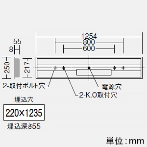 DAIKO 非常用LED長形ベースライト 40形 埋込形 幅220mm 6900lmクラス FHF32形高出力型×2灯相当 非調光 昼白色  LZE-93064XW+LZA-92824W 画像2