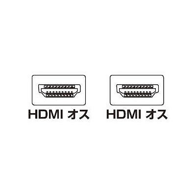 サンワサプライ フェライトコア付 ハイスピードHDMIケーブル 1m  KM-HD20-10FC 画像2