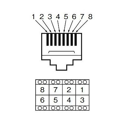 パナソニック 情報用埋込モジュラジャック CAT3相当 8極8心 ホワイト  WNT1781WK 画像3