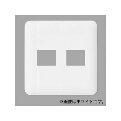 パナソニック 【生産終了】コンセントプレート 2連用 2コ(1コ+1コ)用 ラウンド 利休色 WTF7072G