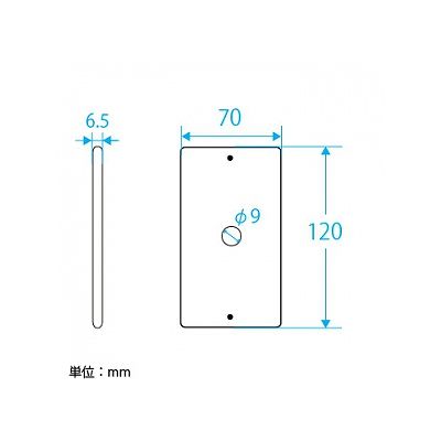 パナソニック フルカラー 新金属電話線プレート 1連用 取付枠付  WN7581 画像2