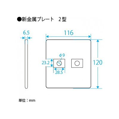 パナソニック フルカラー 新金属電話線プレート2型 2連用 取付枠付  WN6582K 画像2