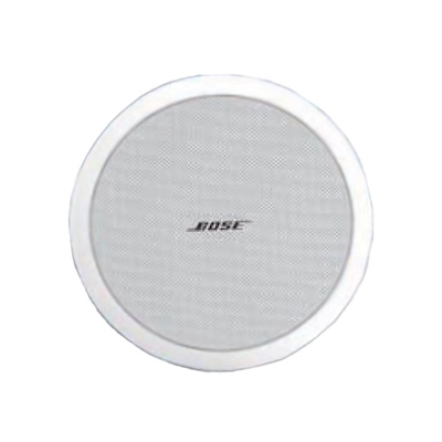 BOSE(ボーズ)  DS100FW