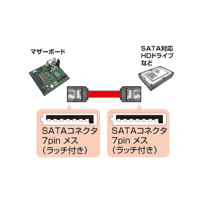 サンワサプライ シリアルATA3ケーブル 両ラッチ付 長さ0.3m  TK-SATA3-03 画像2