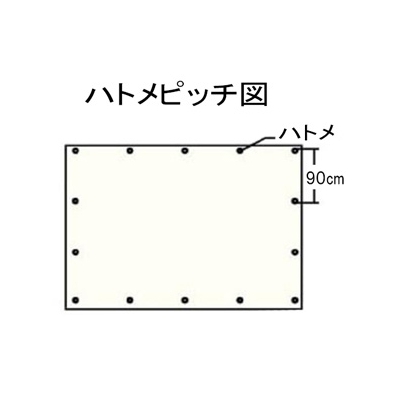 萩原工業 ターピーODグリーンシート #3000 防水タイプ 幅5.29×長さ7.11m 厚み0.25mm ハトメ付  TPOD5472 画像2