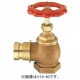 三栄水栓製作所 差込90°消火栓 圧力0.5MPa用 呼び:40 V19-40 画像2